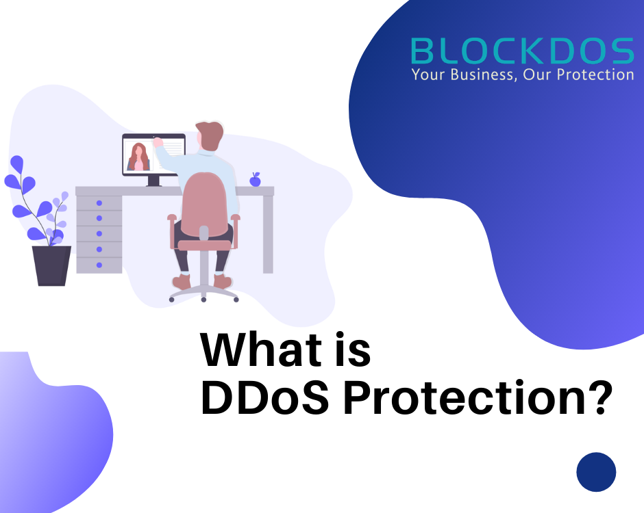 What is DDoS Protection